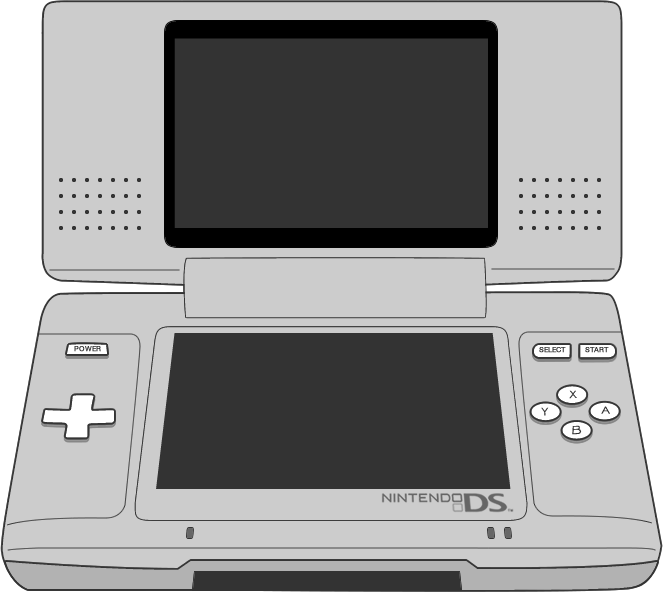 Diagram of the DS