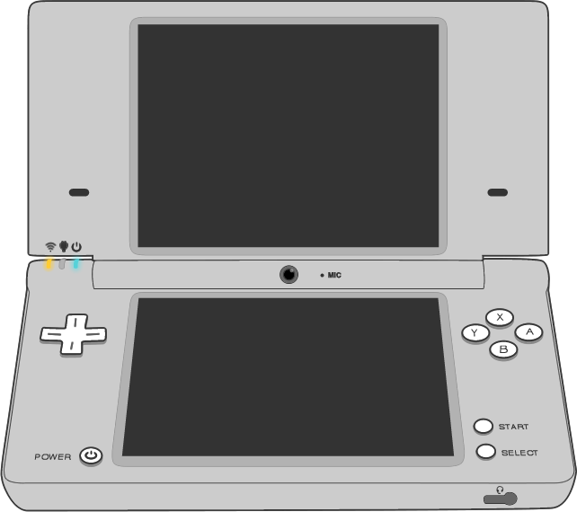 Picture of the DSi